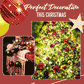 🎊Christmas Pre-sale 🎊 Lighted Christmas Tree Twinkle Ornaments